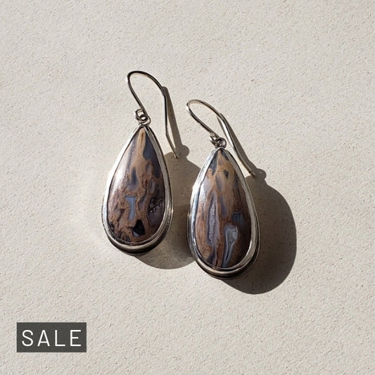 Fossil earrings